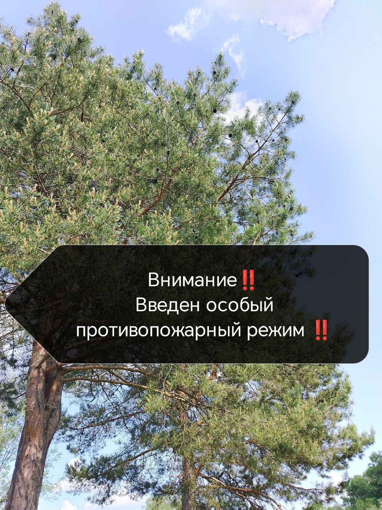Особый противопожарный режим.