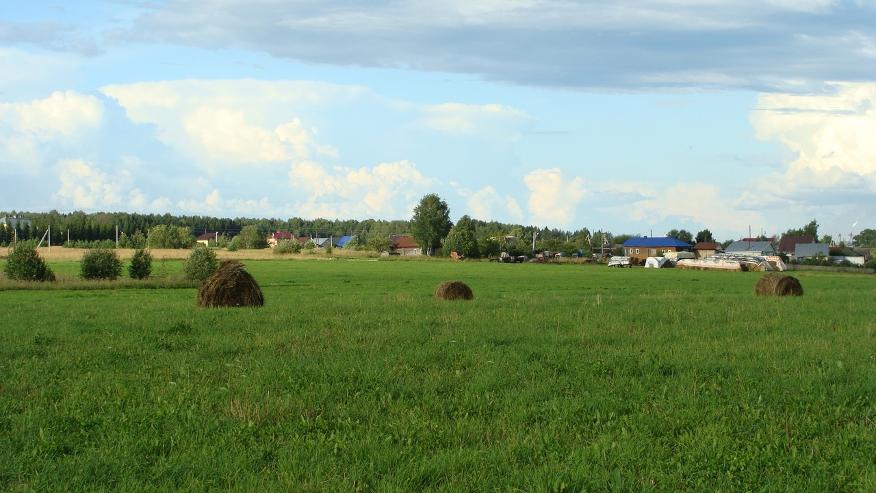 деревня Ермолинцы.