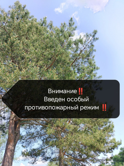 Особый противопожарный режим. Особый противопожарный режим.