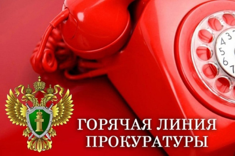 Горячая линия. Горячая линия.