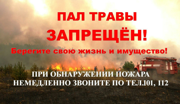 Пал травы. Пал травы.